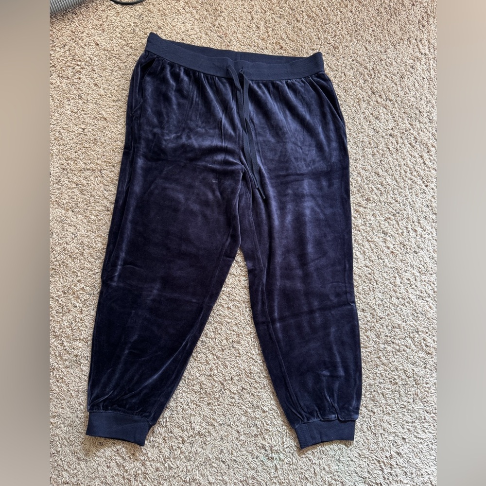 Eileen Fisher Velvety Joggers Size L